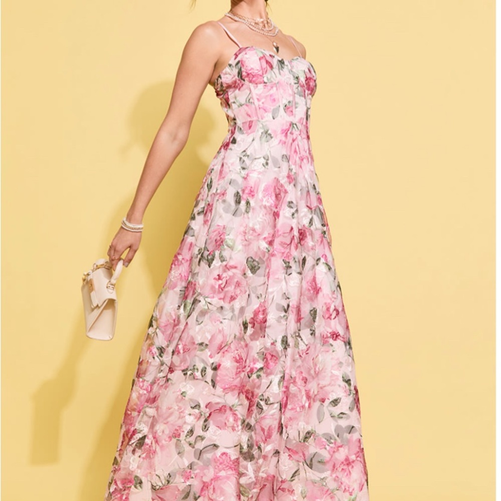 Francesca's Collections Pink Floral Maxi Dress